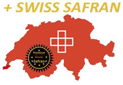 SWISS SAFRAN GmbH